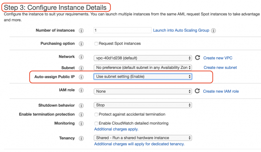 how to assign public ip for ec2 instance