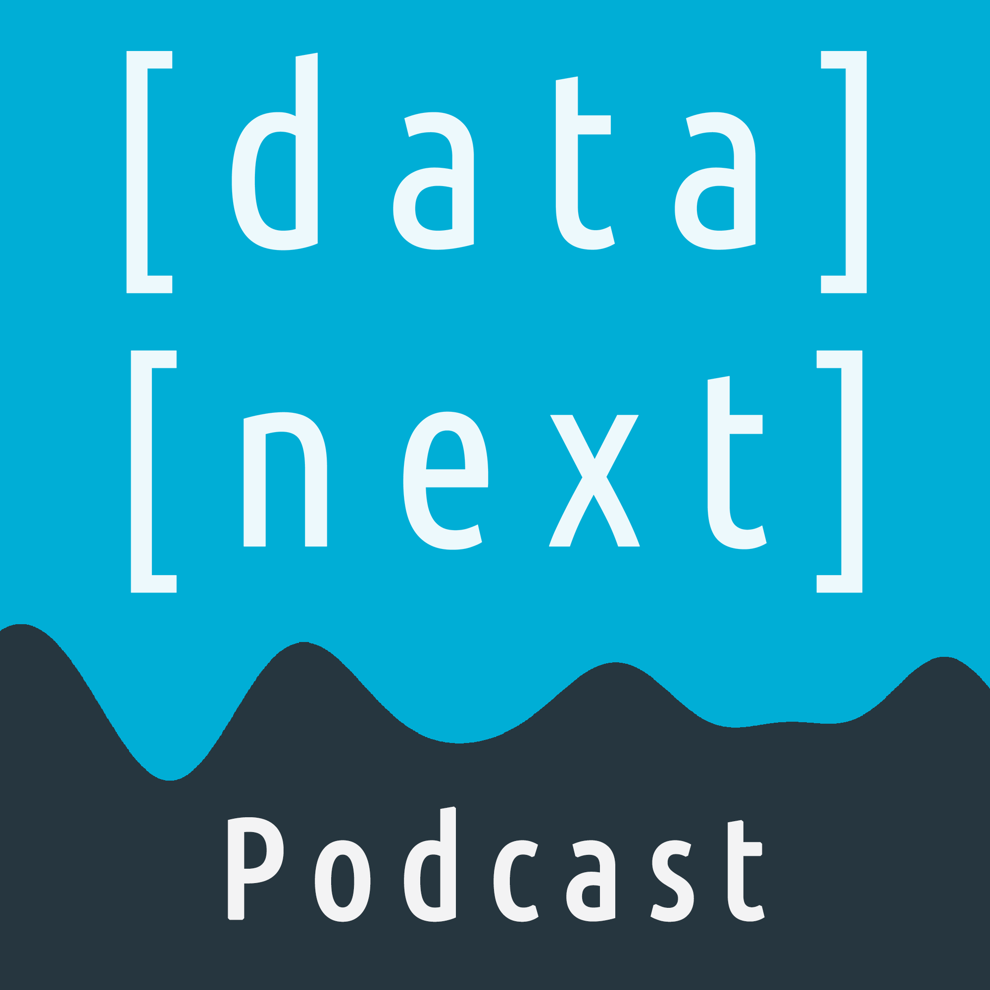 datanext podcast logo